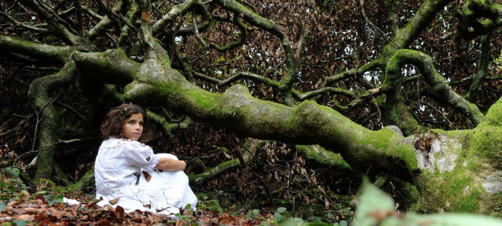 La forêt des âmes